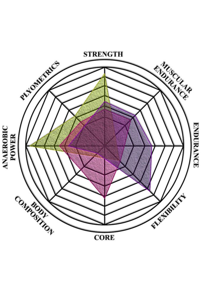 A graph depicting the core principles of exercise, strength, endurance, muscular endurance, flexibility, core, body composition, anaerobic power, plyometric